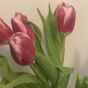 Meet your Posher, Gabby